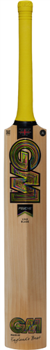 GUNN & MOORE PSYCHE TEST JUNIOR CRICKET BAT