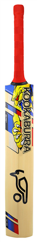 KOOKABURRA BEAST PRO 9.0 JUNIOR KASHMIR CRICKET BAT