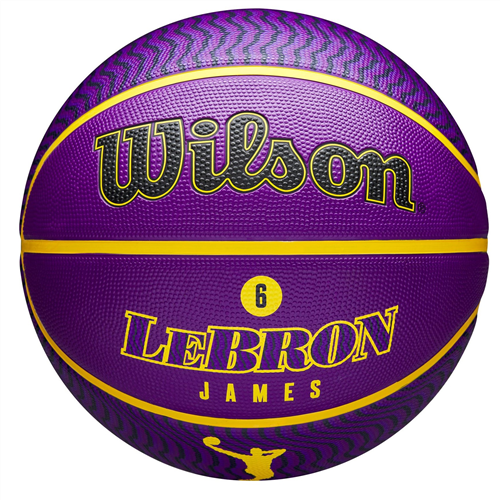 WILSON NBA LEBRON ICON OUTDOOR BALL