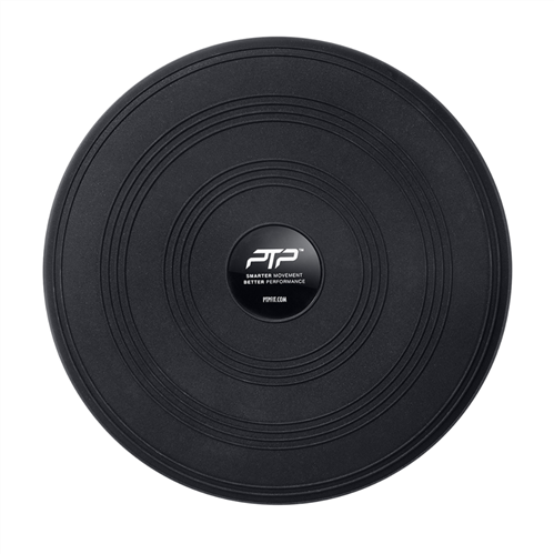 PTP STABILITY DISC