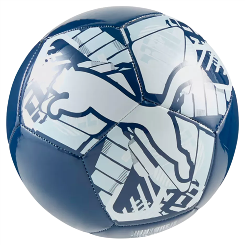 PUMA BIG CAT FOOTBALL