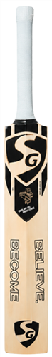 SG HP DISRUPTOR 1.0 CRICKET BAT