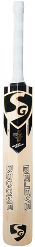 SG HP DISRUPTOR 4.0 JUNIOR CRICKET BAT