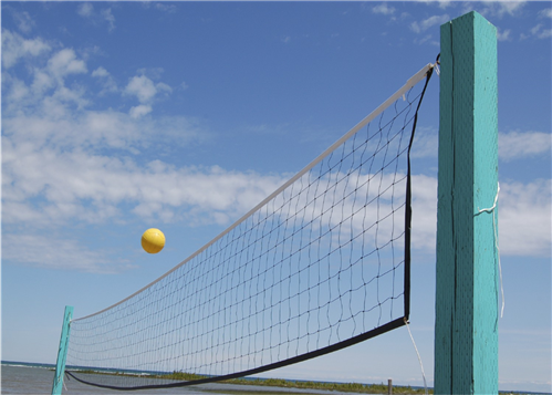 ACE SPORT COMPETITION VOLLEYBALL NET
